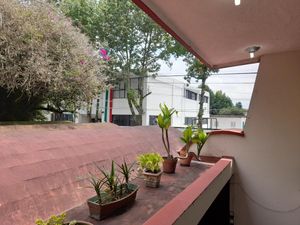 Casa en Renta en Tamborrel Xalapa