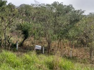 Terreno en Venta en El Recreo Tierra Blanca