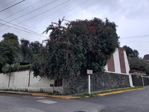 Casa en Renta en Tamborrel Xalapa