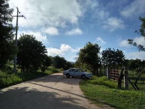 Terreno en Venta en Ribera Piedra Parada Ocozocoautla de Espinosa