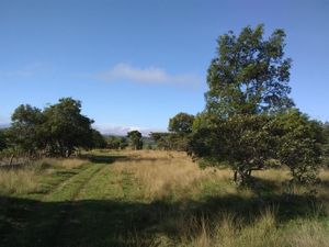 Terreno en Venta en Ribera Piedra Parada Ocozocoautla de Espinosa