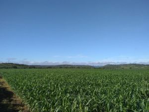 Terreno en Venta en Ribera Piedra Parada Ocozocoautla de Espinosa