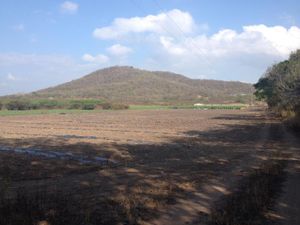 Finca/Rancho en Venta en La Primavera Cintalapa de Figueroa