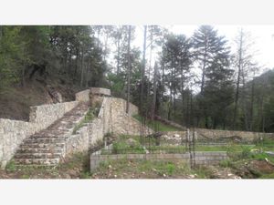 Terreno en Venta en Corral de Piedra San Cristóbal de las Casas