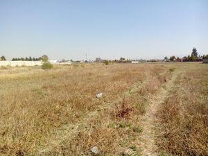 Terreno en Venta en Agrícola Álvaro Obregón Metepec