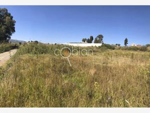 Terreno en Venta en San Antonio Cacalotepec San Andrés Cholula