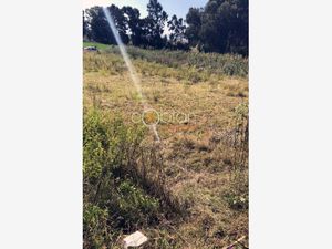 Terreno en Venta en San Antonio Cacalotepec San Andrés Cholula