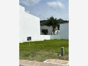 Terreno en Venta en Arbolada Bosques de Santa Anita Tlajomulco de Zúñiga