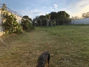 Bodega en Renta en San Juan de Ocotan Zapopan