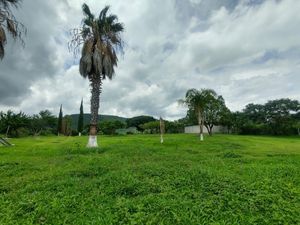 Terreno en Venta en La Cofradia Tuxcueca