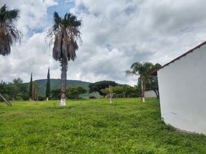 Terreno en Venta en La Cofradia Tuxcueca