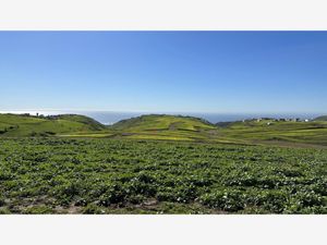 Terreno en Venta en Mar de Calafia Playas de Rosarito