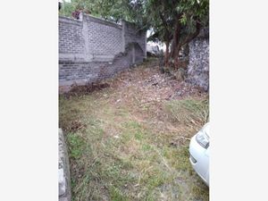 Terreno en Venta en Santa Ursula Coapa Coyoacán