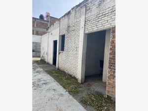 Terreno en Venta en Daniel Garza Miguel Hidalgo