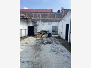 Terreno en Venta en Daniel Garza Miguel Hidalgo