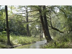 Terreno en Venta en Congregación Calles Montemorelos