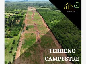 Terreno en Venta en Congregación Calles Montemorelos