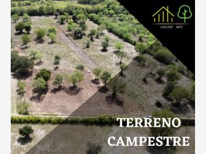 Terreno en Venta en Congregación Calles Montemorelos