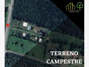 Terreno en Venta en Congregación Calles Montemorelos