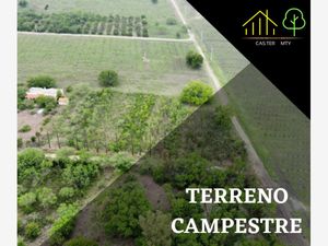 Terreno en Venta en Congregación Calles Montemorelos