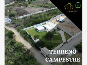 Terreno en Venta en Congregación Calles Montemorelos