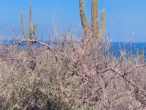 Terreno en Venta en Pedregal de la Paz La Paz