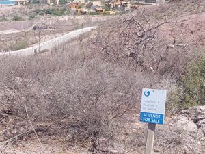 Terreno en Venta en Pedregal de la Paz La Paz