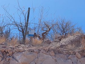 Terreno en Venta en Pedregal de la Paz La Paz