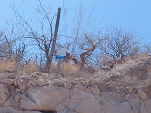 Terreno en Venta en Pedregal de la Paz La Paz