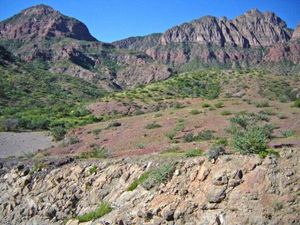 Terreno en Venta en San Cosme Loreto