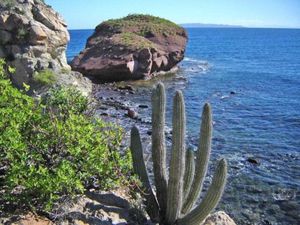 Terreno en Venta en San Cosme Loreto