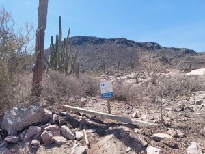 Terreno en Venta en Pedregal de la Paz La Paz