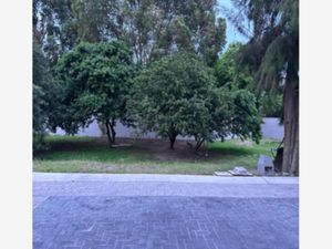 Terreno en Venta en Guadalajarita Zapopan