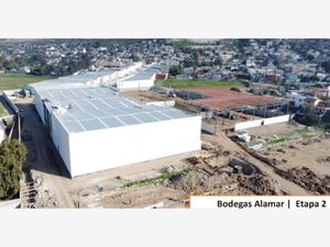 Bodega en Renta en Fernandez Tijuana