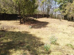 Terreno en Venta en San Sebastián Malinalco