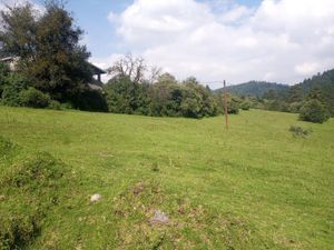 Terreno en Venta en Cañada de Alferes Lerma