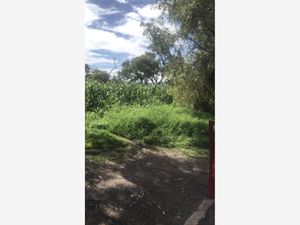 Terreno en Venta en San Gaspar Tlahuelilpan Metepec