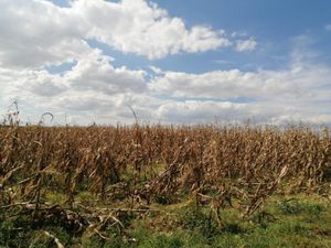 Terreno en Venta en San Miguel Totocuitlapilco Metepec