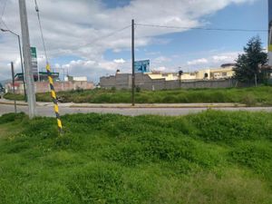 Terreno en Venta en La Concepción San Mateo Atenco