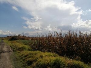 Terreno en Venta en San Miguel Totocuitlapilco Metepec