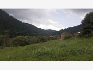 Terreno en Venta en Cañada de Alferes Lerma