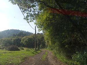Terreno en Venta en Cañada de Alferes Lerma