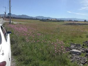 Terreno en Venta en La Constitucion Totoltepec Toluca