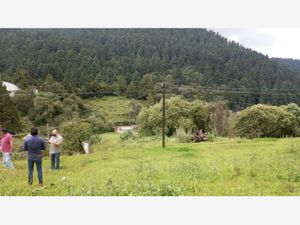 Terreno en Venta en Cañada de Alferes Lerma