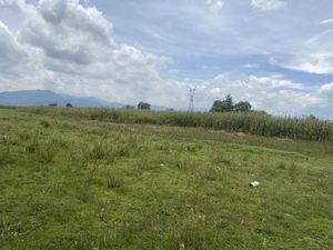 Terreno en Venta en La Constitucion Totoltepec Toluca