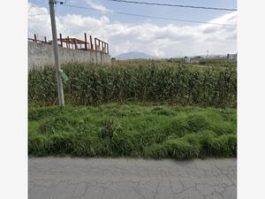 Terreno en Venta en San Miguel Totocuitlapilco Metepec