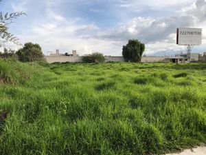 Terreno en Venta en Llano Grande (El Salitre) Metepec