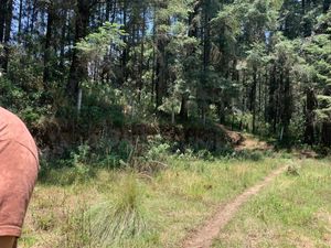 Terreno en Venta en Piedra Grande Huixquilucan