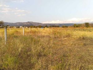 Terreno en Venta en San Sebastián Malinalco