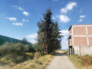 Terreno en Venta en San Miguel Totocuitlapilco Metepec